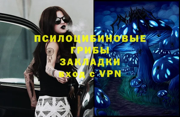 марки lsd Абаза