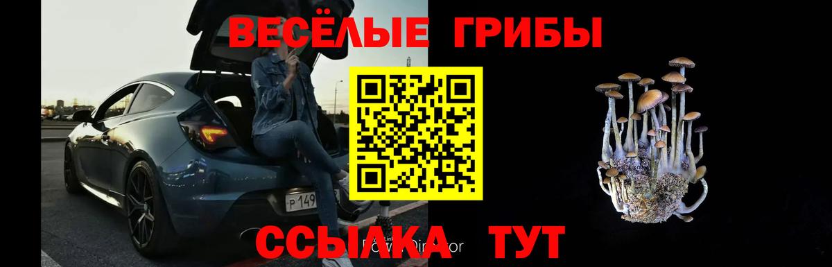 Галлюциногенные грибы мицелий Ухта